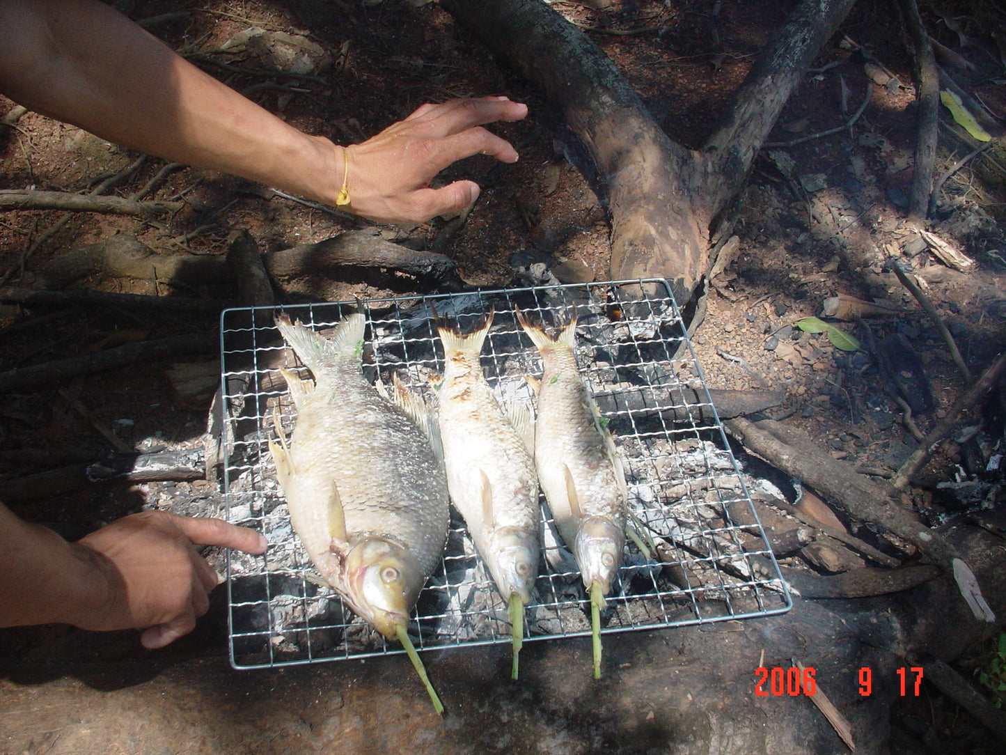 Nam Ngum Island Tour