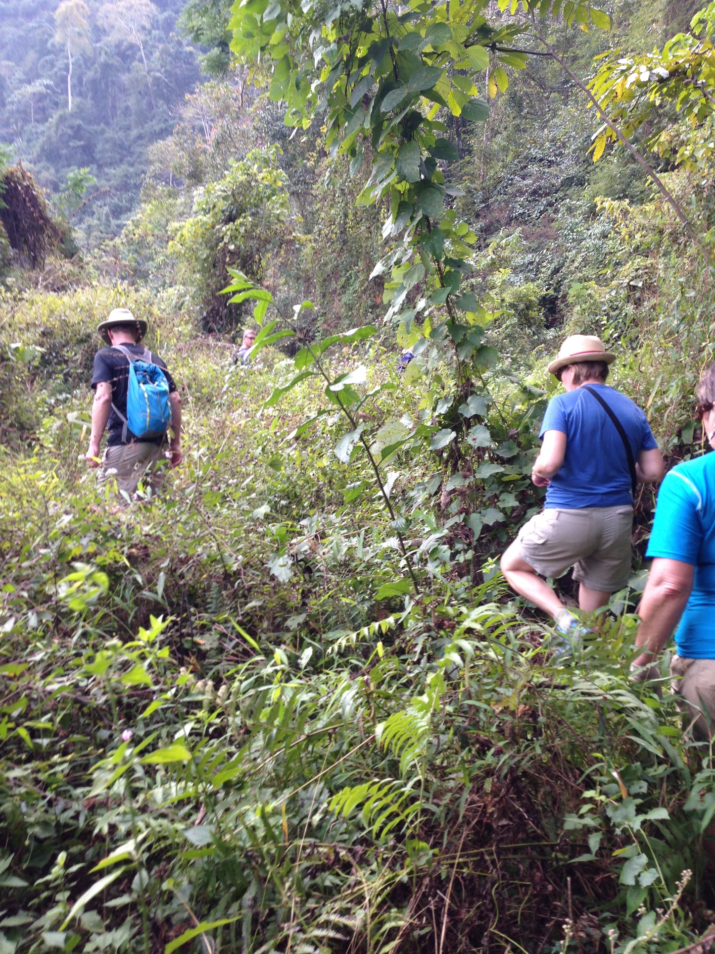 Kayaking-Mountain-Trekking to water fall (Deposit only $50)