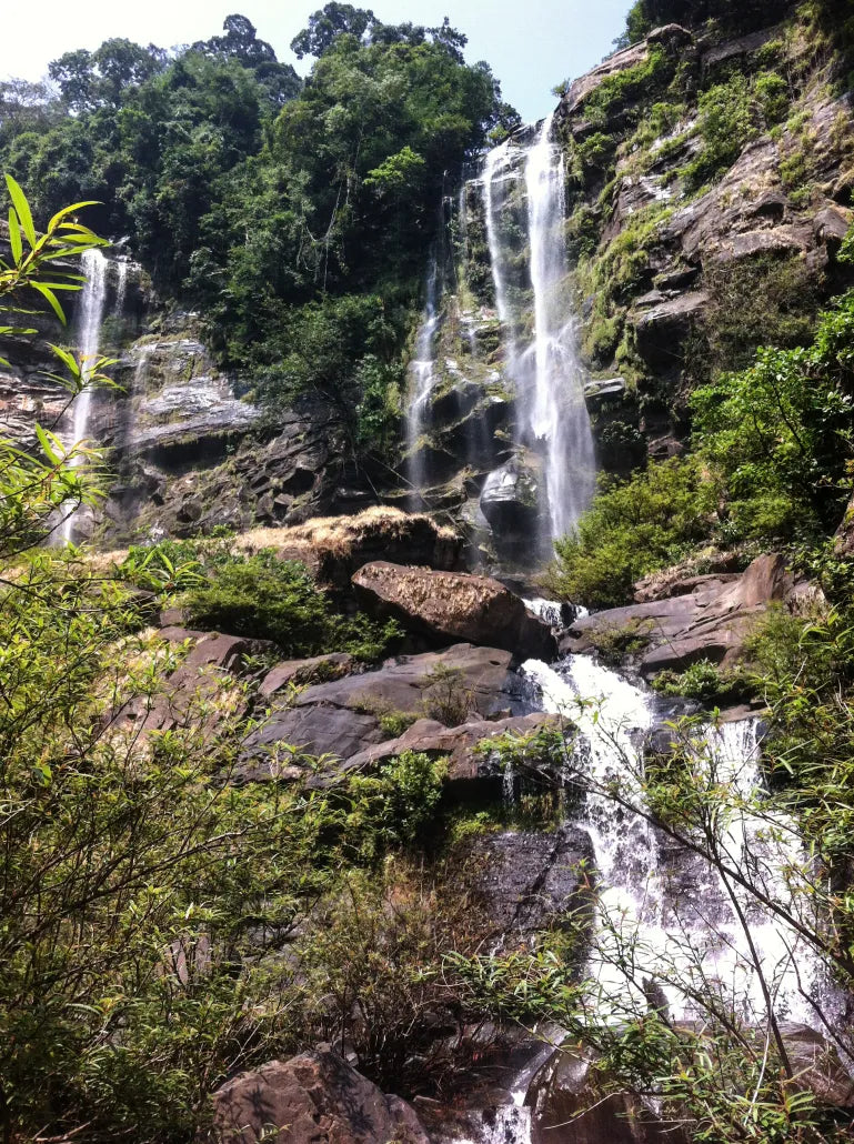 Kong Lor Cave - Home stay (Deposit only $100)