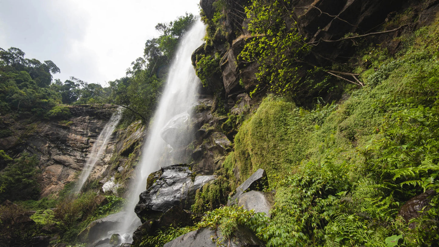 Kong Lor Cave - Home stay (Deposit only $100)