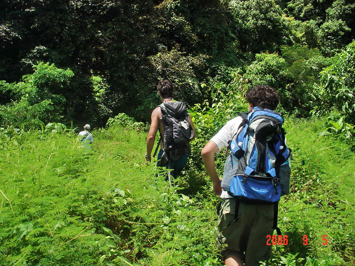 Mountain Trekking (Secret Eden) Deposit only $50)