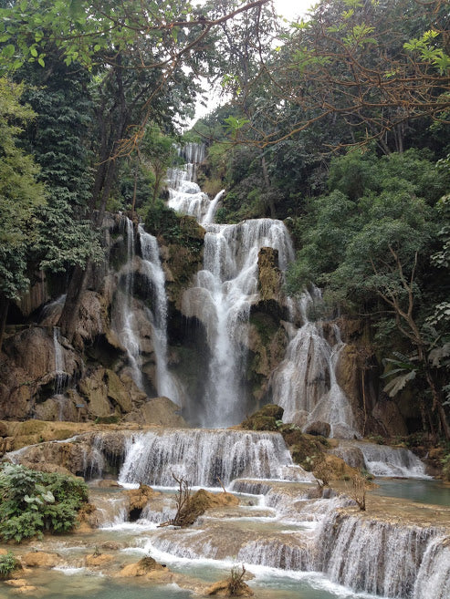 Deposit for tours $ 200