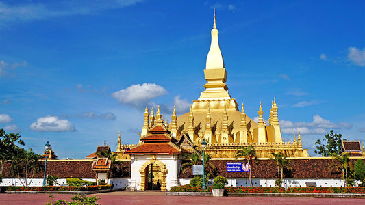 Vientiane City tour  ( Deposit $20/pp)